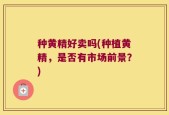 种黄精好卖吗(种植黄精，是否有市场前景？)