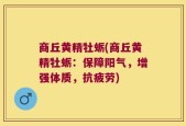 商丘黄精牡蛎(商丘黄精牡蛎：保障阳气，增强体质，抗疲劳)