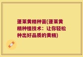 蓬莱黄精种苗(蓬莱黄精种植技术：让你轻松种出好品质的黄精)
