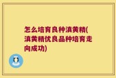 怎么培育良种滇黄精(滇黄精优良品种培育走向成功)