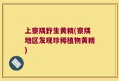 上察隅野生黄精(察隅地区发现珍稀植物黄精)