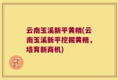 云南玉溪新平黄精(云南玉溪新平挖掘黄精，培育新商机)