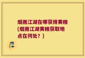 烟雨江湖在哪获得黄精(烟雨江湖黄精获取地点在何处？)