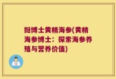 挺博士黄精海参(黄精海参博士：探索海参养殖与营养价值)