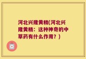 河北兴隆黄精(河北兴隆黄精：这种神奇的中草药有什么作用？)