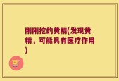 刚刚挖的黄精(发现黄精，可能具有医疗作用)