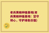 老兵黄精种植基地(老兵黄精种植基地：坚守初心，守护绿色价值)