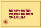 安徽黄精和泰山黄精(安徽黄精和泰山黄精的区别及功效特点)