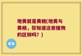 地黄就是黄精(地黄与黄精，你知道这些植物的区别吗？)