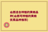山西适合种植的黄精品种(山西可种植的黄精优质品种推荐)