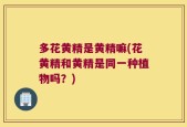 多花黄精是黄精嘛(花黄精和黄精是同一种植物吗？)