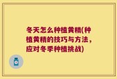 冬天怎么种植黄精(种植黄精的技巧与方法，应对冬季种植挑战)