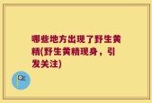 哪些地方出现了野生黄精(野生黄精现身，引发关注)
