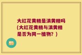 大红花黄精是滇黄精吗(大红花黄精与滇黄精是否为同一植物？)