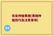 农业种植黄精(黄精种植技巧及注意事项)