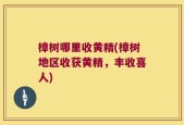 樟树哪里收黄精(樟树地区收获黄精，丰收喜人)