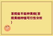 茶陵能不能种黄精(茶陵黄精种植可行性分析)