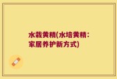 水栽黄精(水培黄精：家居养护新方式)