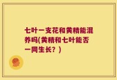 七叶一支花和黄精能混养吗(黄精和七叶能否一同生长？)