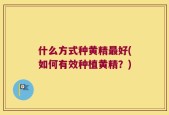 什么方式种黄精最好(如何有效种植黄精？)