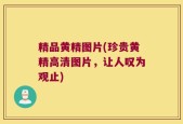 精品黄精图片(珍贵黄精高清图片，让人叹为观止)