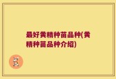 最好黄精种苗品种(黄精种苗品种介绍)