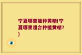 宁夏哪里能种黄精(宁夏哪里适合种植黄精？)