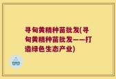 寻甸黄精种苗批发(寻甸黄精种苗批发——打造绿色生态产业)