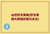 山挖野生黄精(野生黄精大规模挖掘引关注)