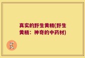 真实的野生黄精(野生黄精：神奇的中药材)