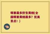 哪里最多野生黄精(全国哪里黄精最多？优美景点！)