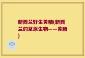 新西兰野生黄精(新西兰的草原生物——黄精)