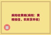 麻阳收黄精(麻阳：黄精极佳，农民获丰收)