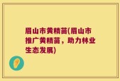 眉山市黄精苗(眉山市推广黄精苗，助力林业生态发展)