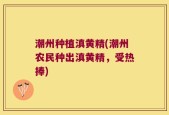潮州种植滇黄精(潮州农民种出滇黄精，受热捧)