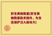 野生黄精数量(野生黄精数量稳步回升，为生态保护注入新动力)