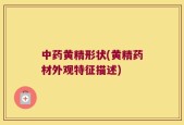 中药黄精形状(黄精药材外观特征描述)