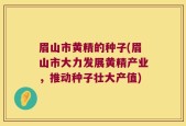 眉山市黄精的种子(眉山市大力发展黄精产业，推动种子壮大产值)