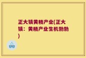 正大镇黄精产业(正大镇：黄精产业生机勃勃)
