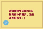 新鲜黄精中药图片(新鲜黄精中药图片，滋补调养好帮手！)