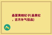 桑葚黄精杞子(桑黄杞，古方补气佳品)