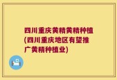 四川重庆黄精黄精种植(四川重庆地区有望推广黄精种植业)