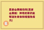 昆嵛山黄精功效(昆嵛山黄精：神奇的草药能够滋补身体和增强免疫力)