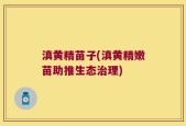 滇黄精苗子(滇黄精嫩苗助推生态治理)