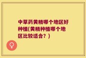 中草药黄精哪个地区好种植(黄精种植哪个地区比较适合？)