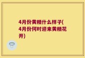 4月份黄精什么样子(4月份何时迎来黄精花开)