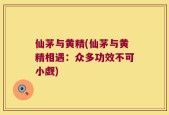 仙茅与黄精(仙茅与黄精相遇：众多功效不可小觑)