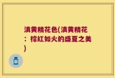 滇黄精花色(滇黄精花：棕红如火的盛夏之美)