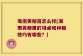 海南黄精苗怎么样(海南黄精苗的特点和种植技巧有哪些？)