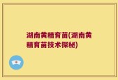湖南黄精育苗(湖南黄精育苗技术探秘)